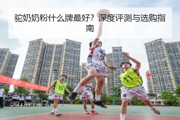 驼奶奶粉什么牌最好？深度评测与选购指南