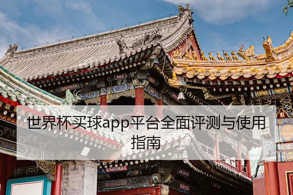 世界杯买球app平台全面评测与使用指南