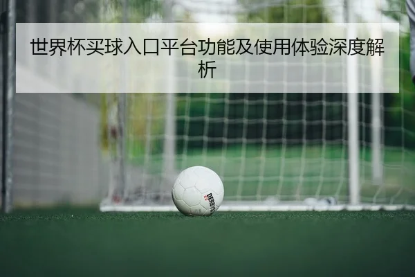 世界杯买球入口平台功能及使用体验深度解析
