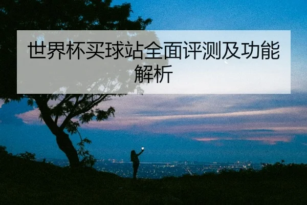 世界杯买球站全面评测及功能解析
