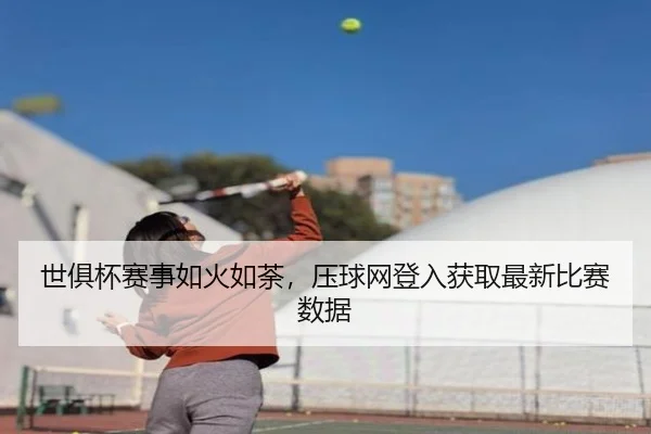 世俱杯赛事如火如荼，压球网登入获取最新比赛数据